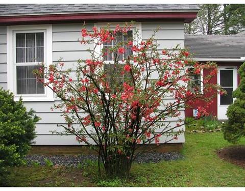 32 Forest St, Erving, MA 01344 photo 29