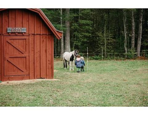 3518 Greenwich Rd, Hardwick, MA 01037 photo 27