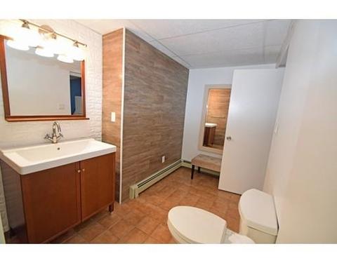 17 Michael Rd, Randolph, MA 02368 photo 16