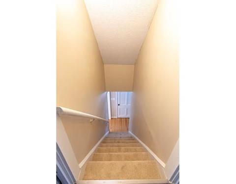 21 Burns Ave, Springfield, MA 01119 photo 14