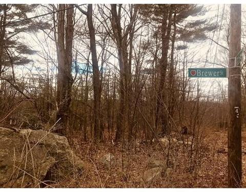 3 Brewer St, Worcester, MA 01609 photo 1