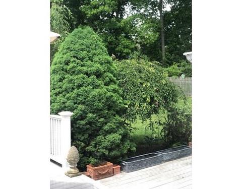 56 Summer St, Danvers, MA 01923 photo 30