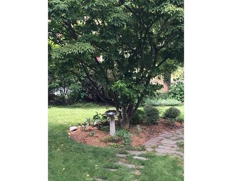 37 Gay St, Needham, MA 02492 photo 25