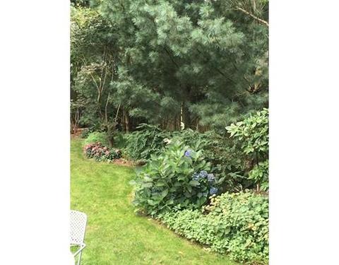 37 Gay St, Needham, MA 02492 photo 24