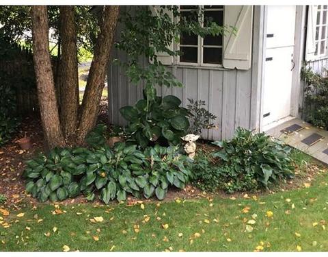 37 Gay St, Needham, MA 02492 photo 26