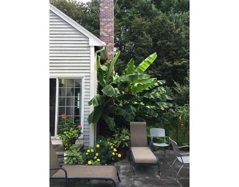 37 Gay St, Needham, MA 02492 photo 23