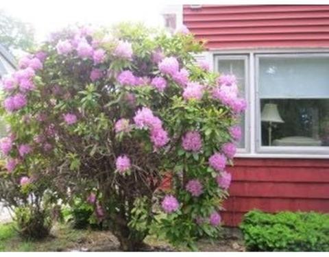 1 Cross St, Wareham, MA 02571 photo 13