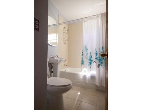 19 Kappius Path, Newton, MA 02459 photo 9