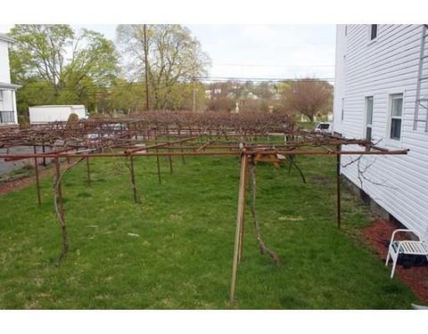 56 St Mary St, Fall River, MA 02720 photo 3