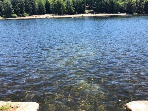 30 Dusty Rd, Warwick, MA 01364 photo 18