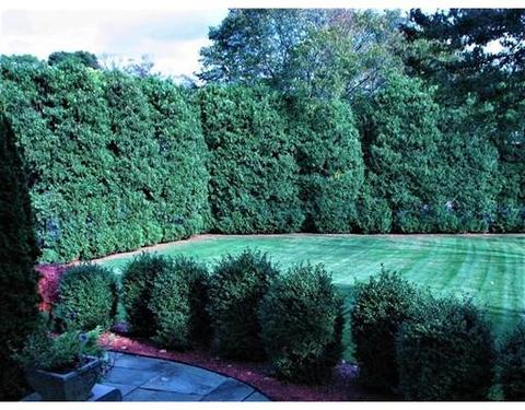 31 Forest St, Worcester, MA 01609 photo 27