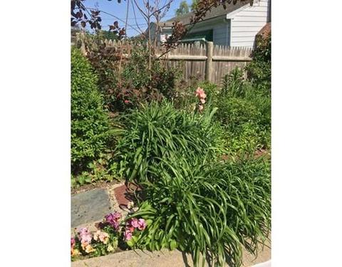 438 Appleton St, Arlington, MA 02476 photo 24
