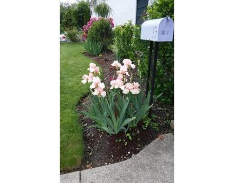 19 Pepka Dr, Webster, MA 01570 photo 2