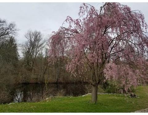44 Marble Rd, Sutton, MA 01590 photo 3