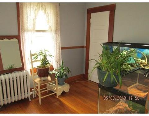 45 Rush St, Springfield, MA 01109 photo 17