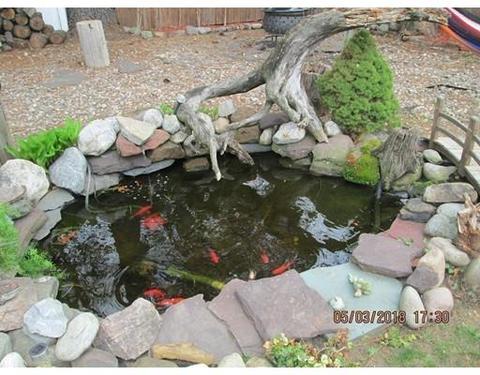 45 Rush St, Springfield, MA 01109 photo 26