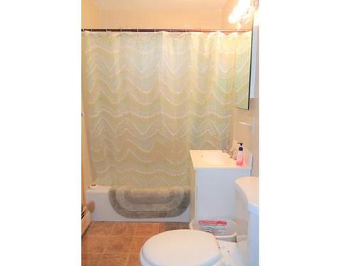 52 Carnavon Cir, Springfield, MA 01109 photo 12