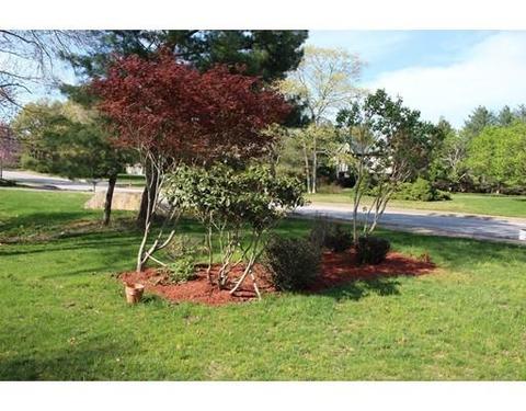 137 Hampton Rd, Sharon, MA 02067 photo 20