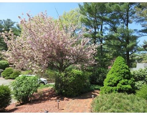 52 Anthony Ln, Dedham, MA 02026 photo 17