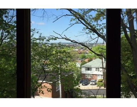 20 Jenness Rd, Brookline, MA 02446 photo 2