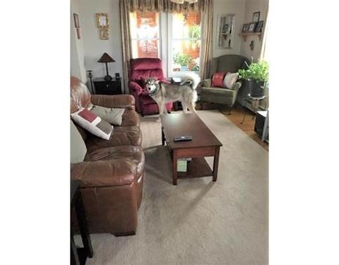 39 Sammet, Everett, MA 02149 photo 9