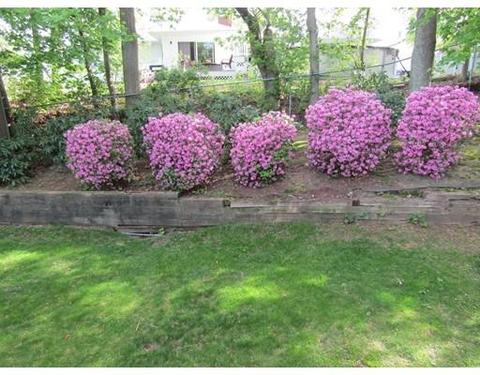 237 Reney St, Fall River, MA 02723 photo 13