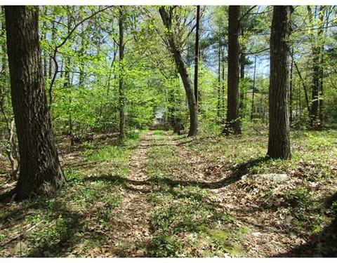 34 Barrows Rd, Worcester, MA 01609 photo 1