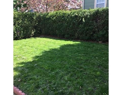 817 Broadway, Everett, MA 02149 photo 3