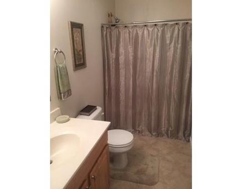 117 Gresham St, Springfield, MA 01119 photo 9