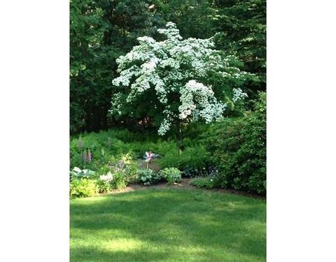 12 Wilson Ln, Acton, MA 01720 photo 20
