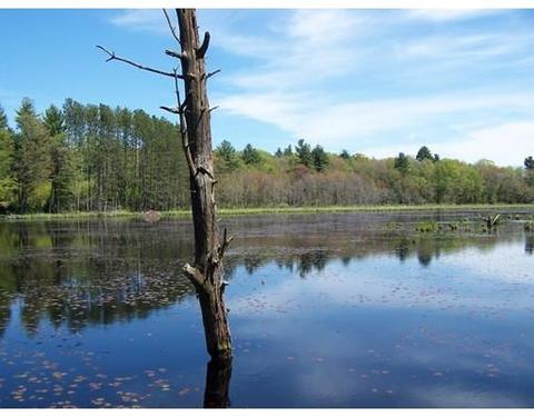 995 Willis Rd, Phillipston, MA 01331 photo 24