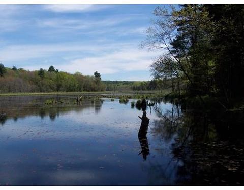 995 Willis Rd, Phillipston, MA 01331 photo 25