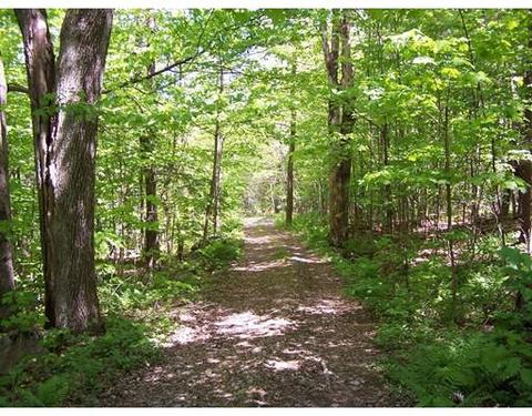 995 Willis Rd, Phillipston, MA 01331 photo 5