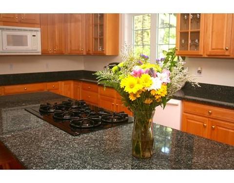 6 Talbott Farm, Mendon, MA 01756 photo 7