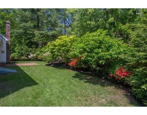 46 Holmes, Needham, MA 02492 photo 21