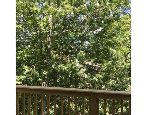 12 Crillon Rd, Worcester, MA 01605 photo 5
