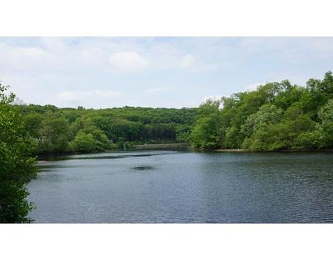 4 Maynard Rd, Wilbraham, MA 01095 photo 20