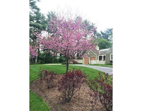 46 Gardner St, Hingham, MA 02043 photo 4