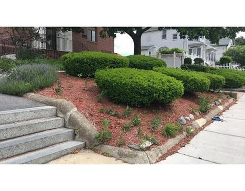 12 Locust St #2E, Everett, MA 02149 photo 3