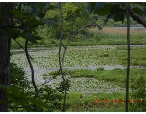 585 E Main St, Chicopee, MA 01020 photo 7