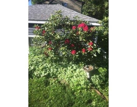 27 Fairfield St, Maynard, MA 01754 photo 19