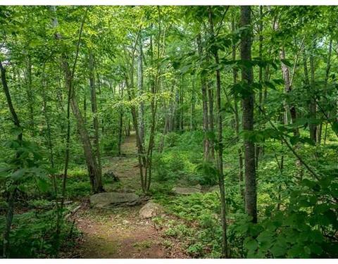 46 Conservation Dr, Douglas, MA 01516 photo 3