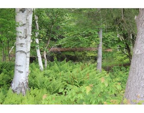 118 Flagg Hill Rd, Heath, MA 01346 photo 16