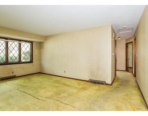 132 Jerilis Dr, Springfield, MA 01119 photo 19