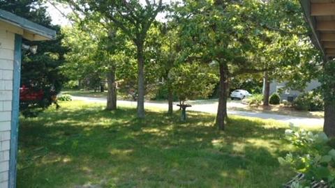 257 Monomoscoy Rd, Mashpee, MA 02649 photo 3