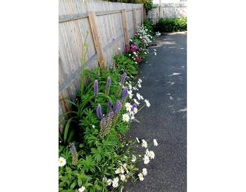 8 Chapel St #B, Gloucester, MA 01930 photo 18