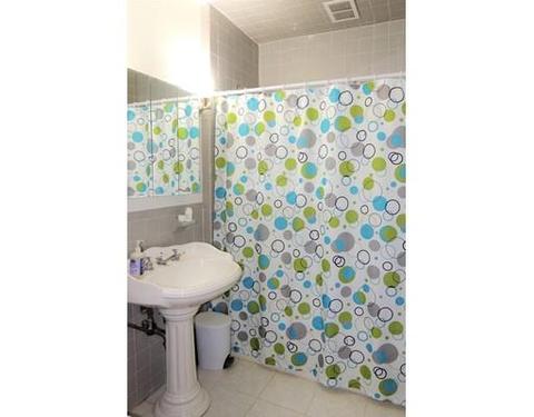 252 Jasper St, Springfield, MA 01109 photo 13
