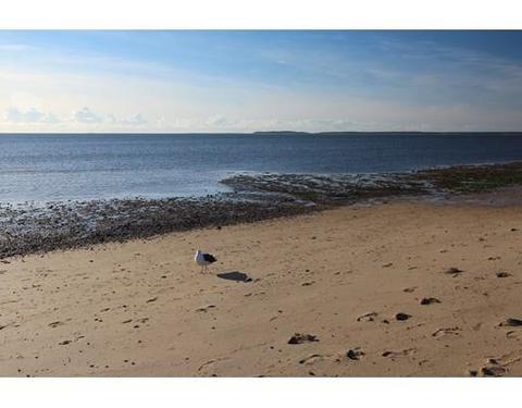 25 Viola Rd, Eastham, MA 02642 photo 21