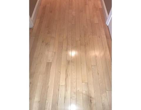 16 Margin St #9, Lynn, MA 01905 photo 14