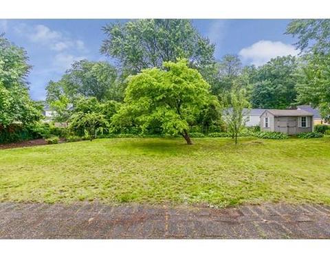 131 Harkness Ave, Springfield, MA 01118 photo 5